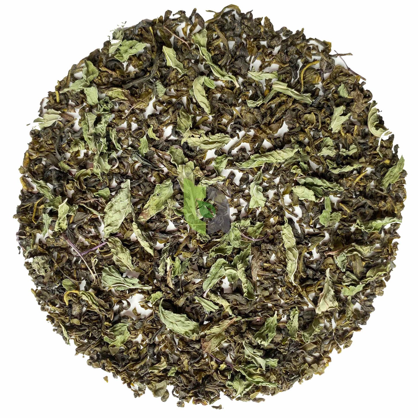 Green Moroccan Mint